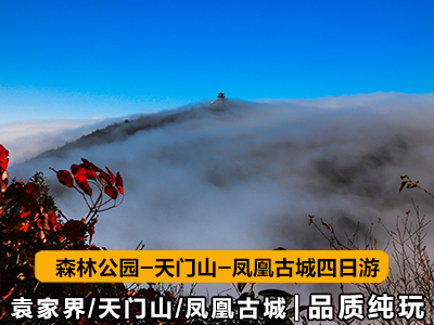 z4张家界-天门山-凤凰四日游