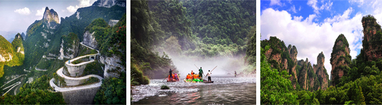 张家界跟团游,张家界自由行,张家界自驾游,张家界中国国际旅行社有限公司