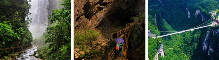 张家界跟团游,张家界自由行,张家界自驾游,张家界中国国际旅行社有限公司