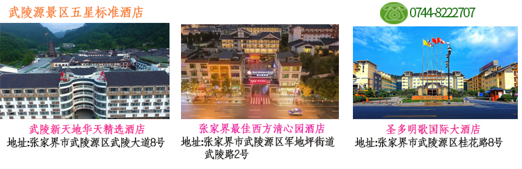 张家界跟团游,张家界自由行,张家界自驾游,张家界中国国际旅行社有限公司