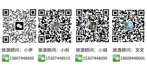 张家界跟团游,张家界自由行,张家界自驾游,张家界中国国际旅行社有限公司